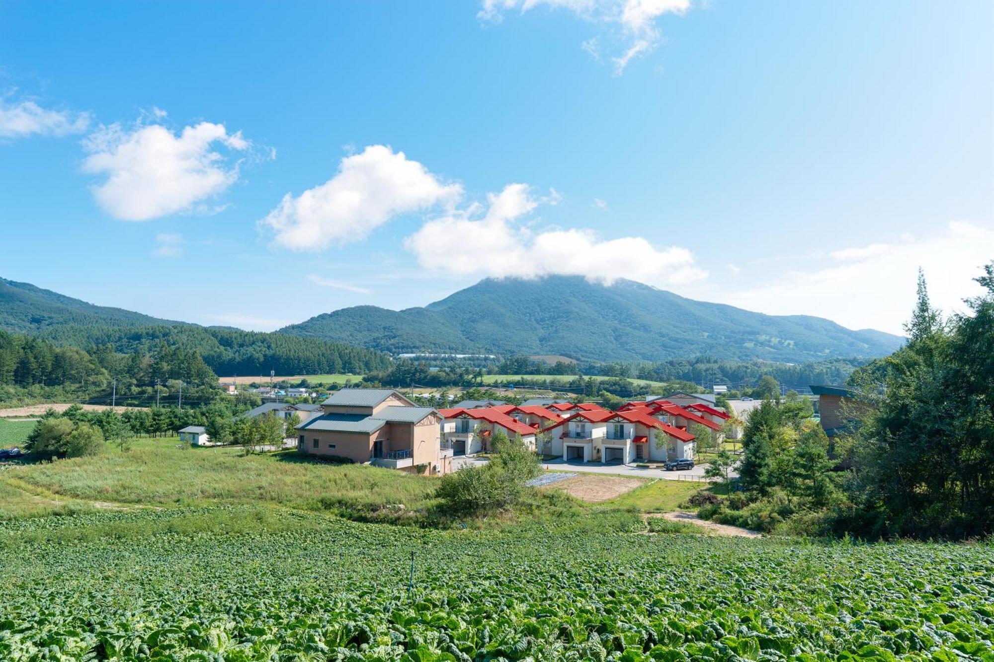Hotel Le Comte Bleu Pyeongchang Esterno foto
